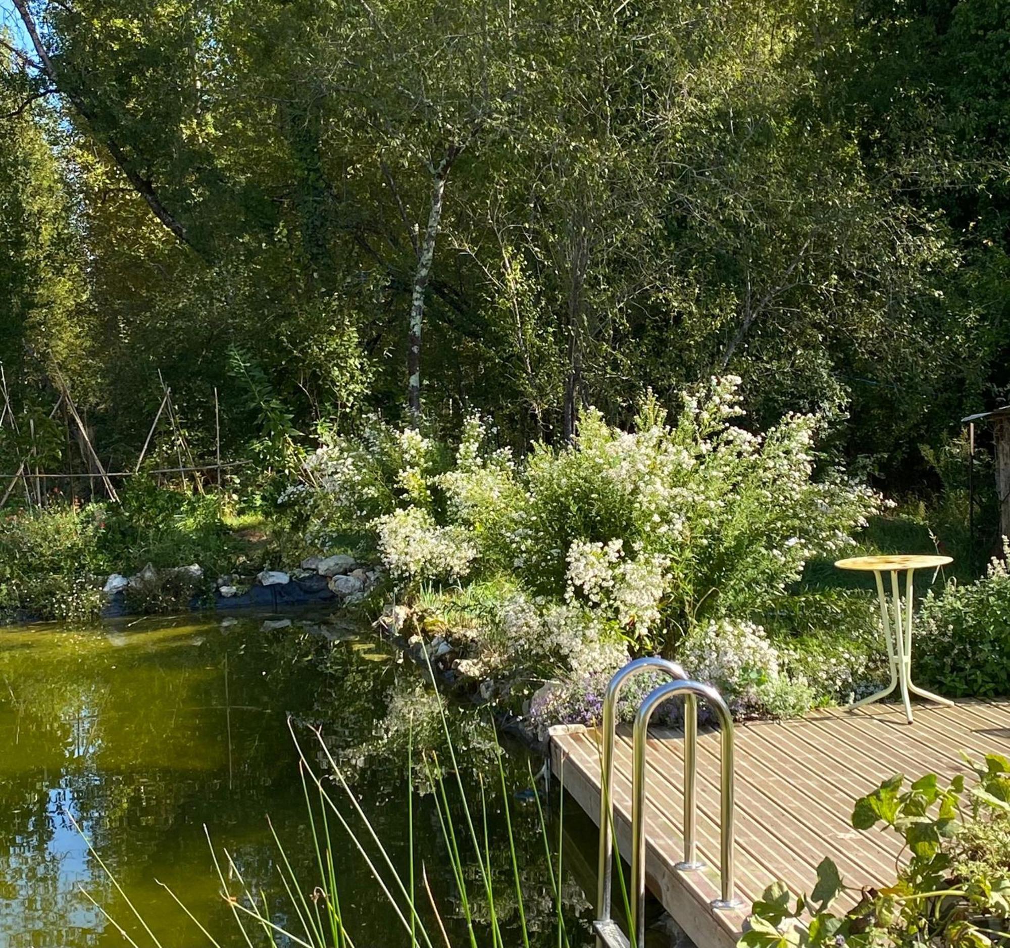 Le Moulin Scalagrand Bed & Breakfast Mazieres  Exterior foto